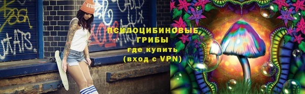 спайс Алзамай