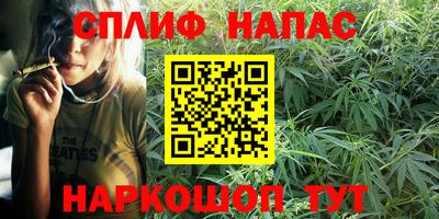 наркотики Сланцы