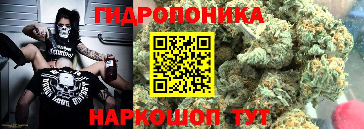Бошки марихуана гибрид Уфа
